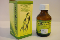 Хлорфиллипт для ингаляций