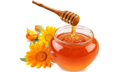 Как проводят лечение насморка мёдом